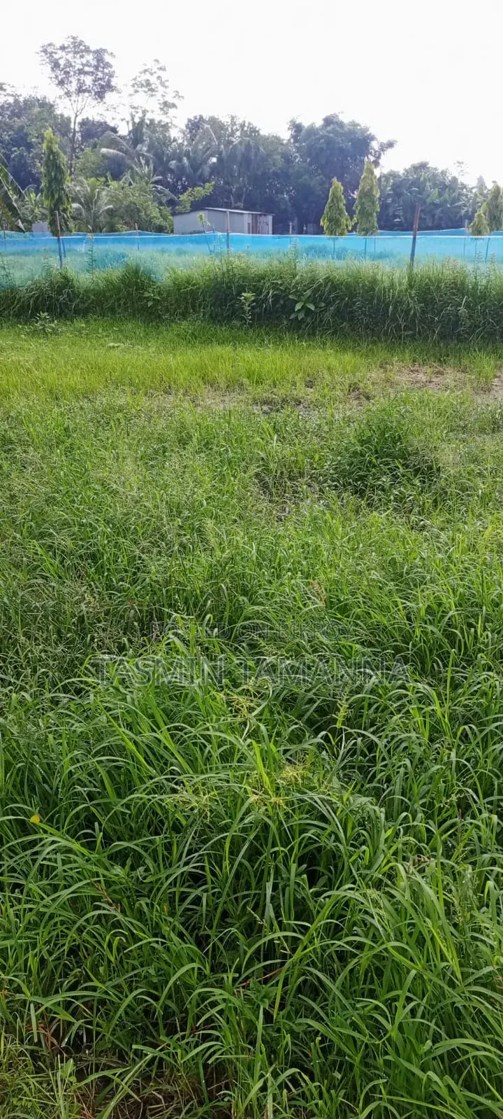 জমি বিক্রয়