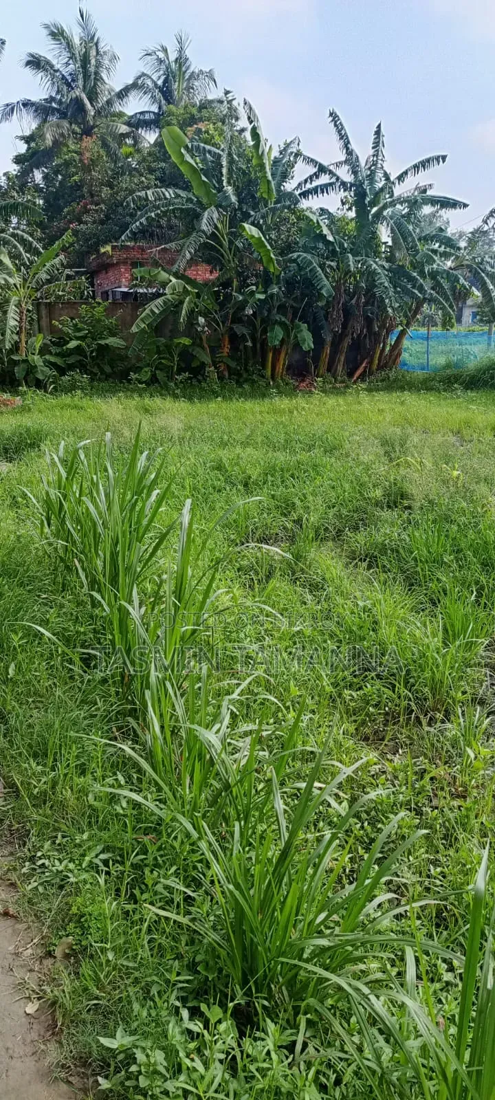 জমি বিক্রয়