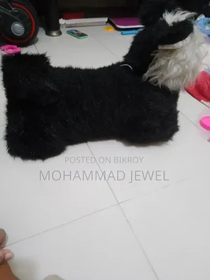 Children's Toy