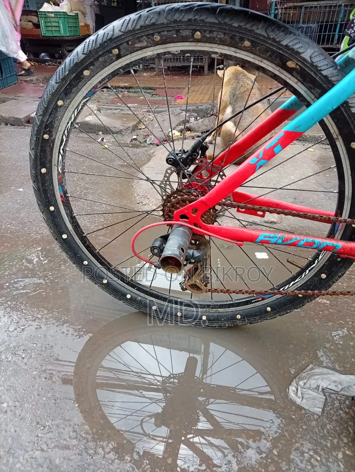 Avon 26 Inch MTB Bicycle | Disc Brake | Used | Good Condition