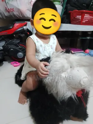Children's Toy
