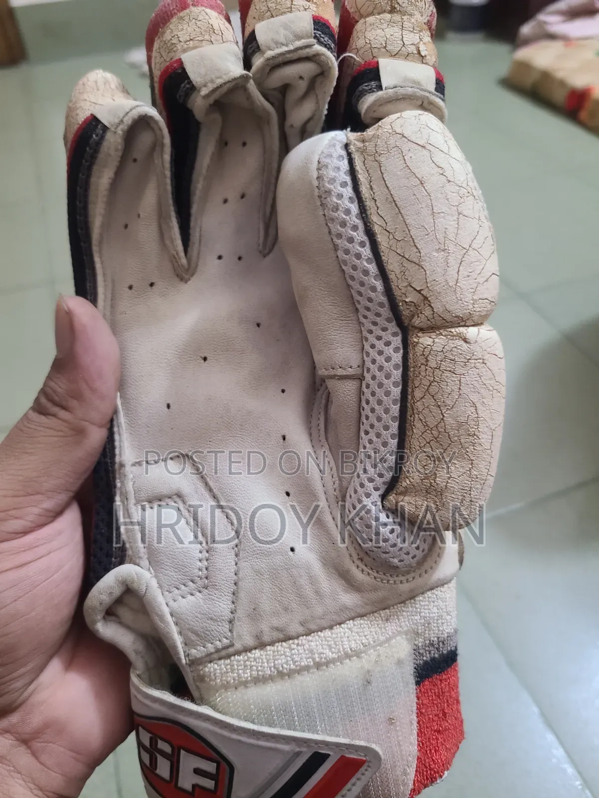 Cricket Globus