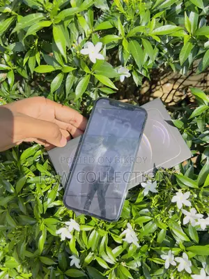 Apple iPhone 12 Pro 256 GB
