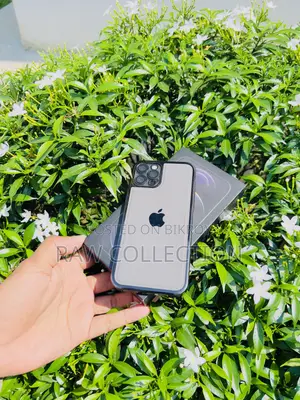 Apple iPhone 12 Pro 256 GB