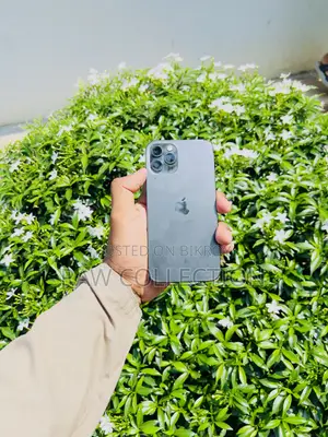 Apple iPhone 12 Pro 256 GB