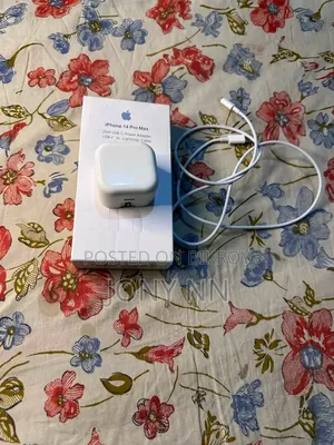Apple Charger