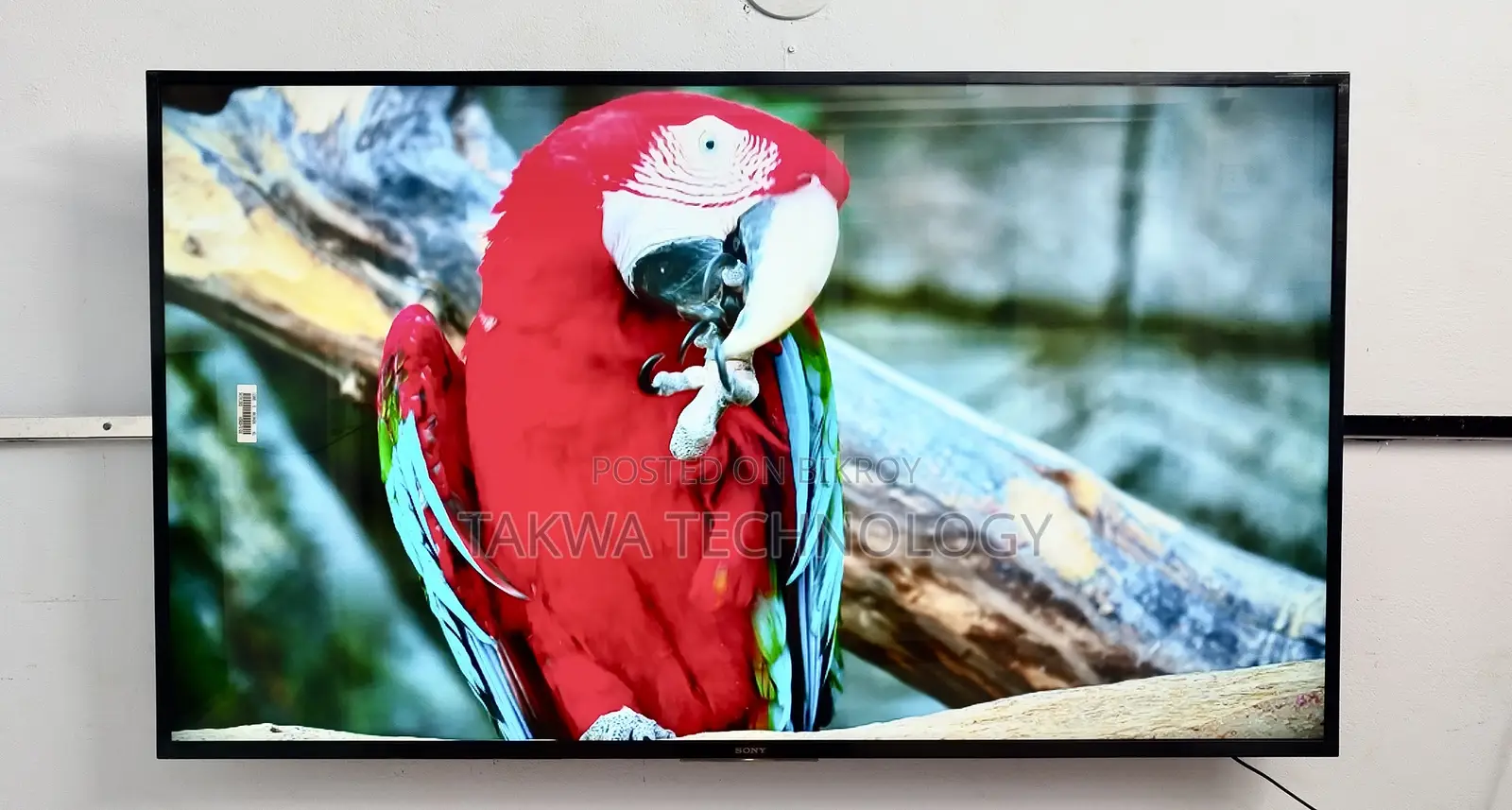 Sony Bravia 55 Inch Android Voice Control TV