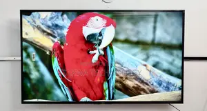 Sony Bravia 55 Inch Android Voice Control TV