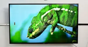 Sony Bravia 55 Inch Android Voice Control TV