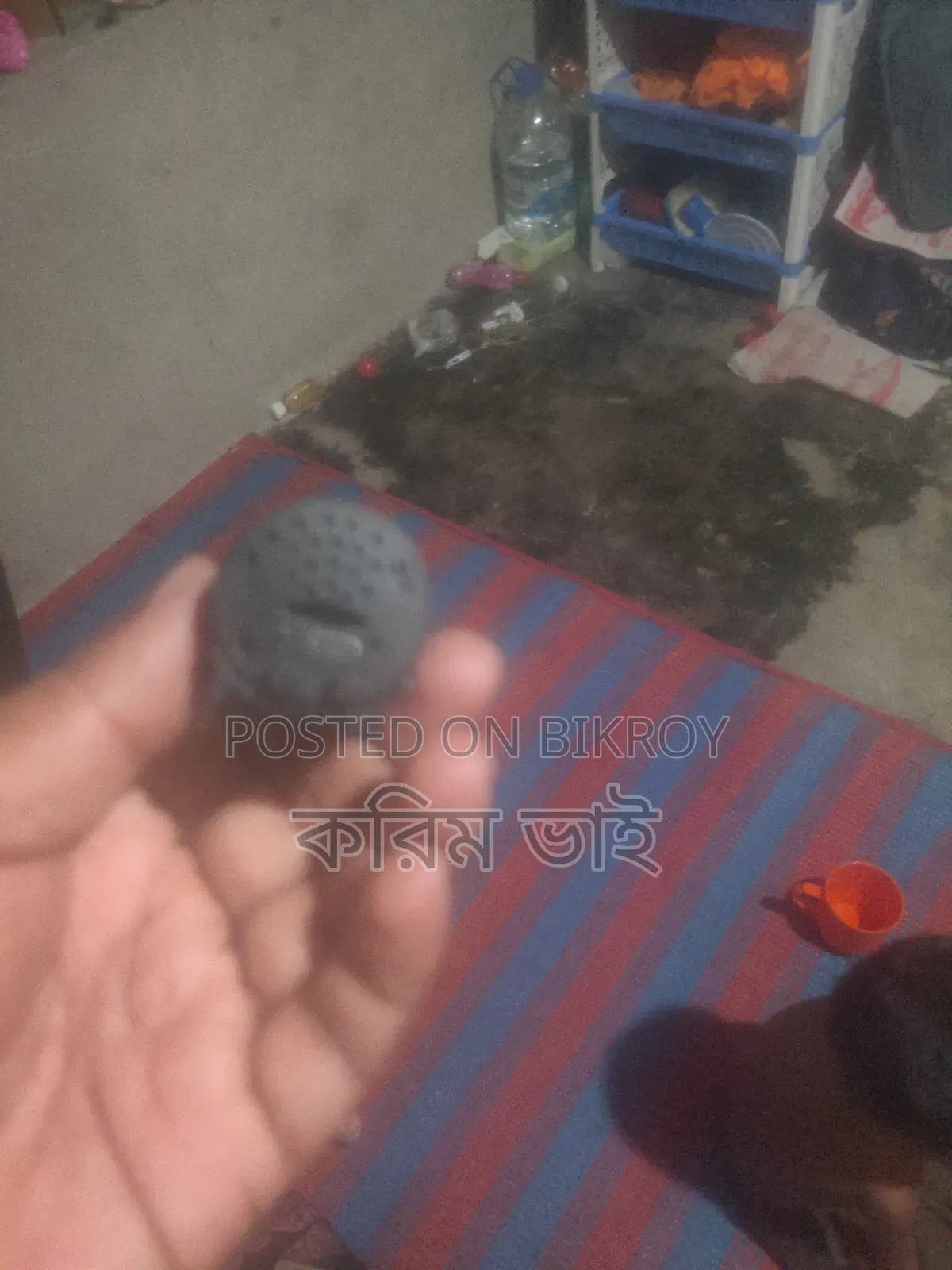 চোর ধরার জন্য কিনেছিলাম কাজ শেষ এখন আর লাগছে না