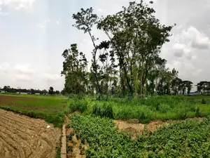 Urgent Sale: 8.25 Decimal High Land in Tongi, Gazipur