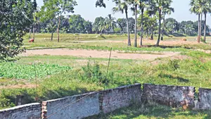 Urgent Sale: 8.25 Decimal High Land in Tongi, Gazipur