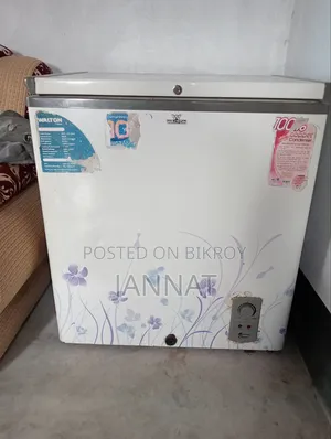 Walton Deep Freezer