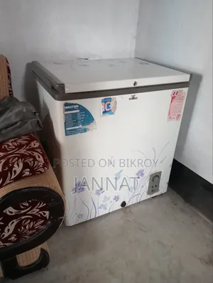 Walton Deep Freezer