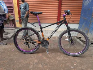 Foxter Pearl Series V-Brake Modified Bicycle