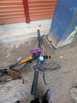 Foxter Pearl Series V-Brake Modified Bicycle