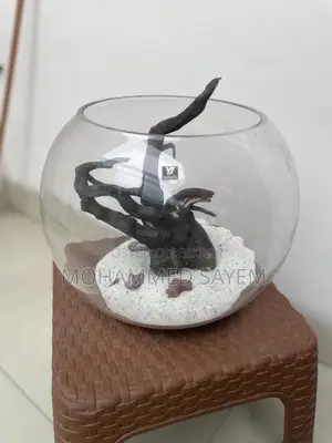 Crystal Glass Big Size Fish Jar
