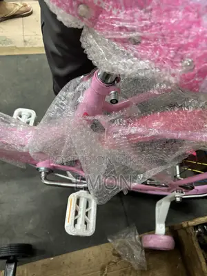 Brand New Phoenix Kids Bicycle