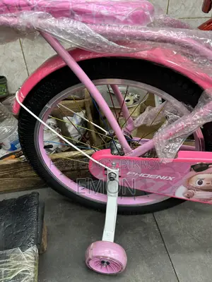 Brand New Phoenix Kids Bicycle