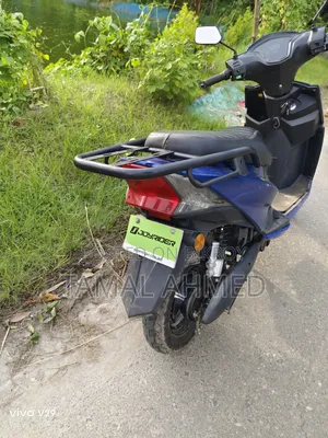 গ্রিন টাইগার জেআর-ফ্যালকন ২০২৫ নীল