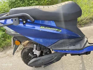 গ্রিন টাইগার জেআর-ফ্যালকন ২০২৫ নীল
