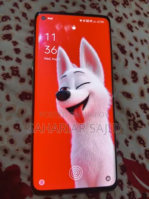 অপো রেনো ৫ ২৫৬ জিবি সিলভার