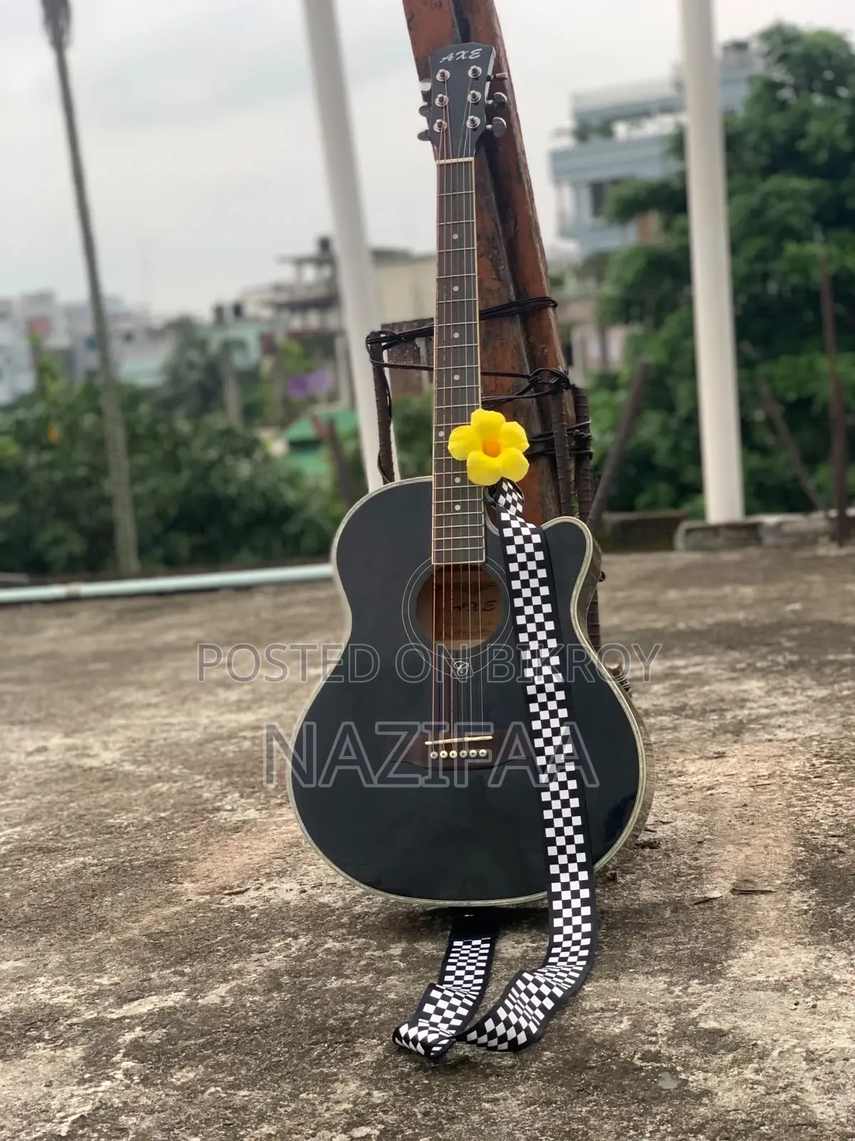 অ্যাকোস্টিক এক্স গিটার