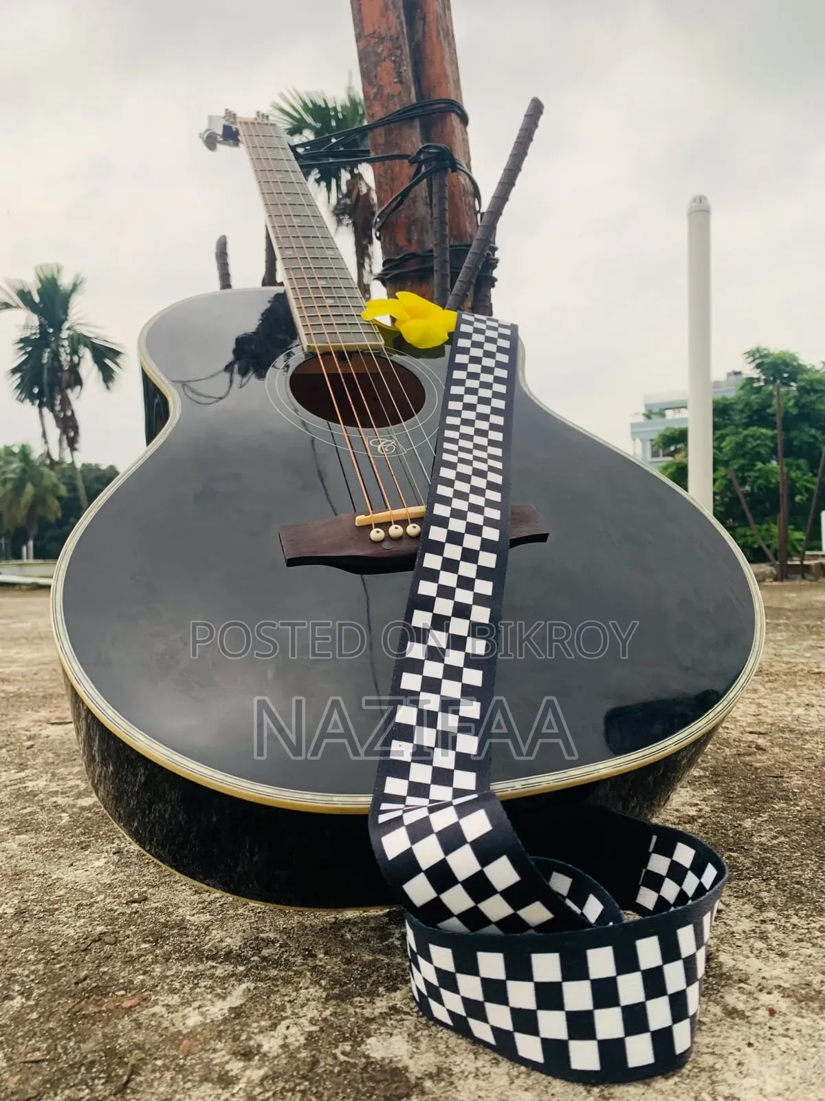 অ্যাকোস্টিক এক্স গিটার