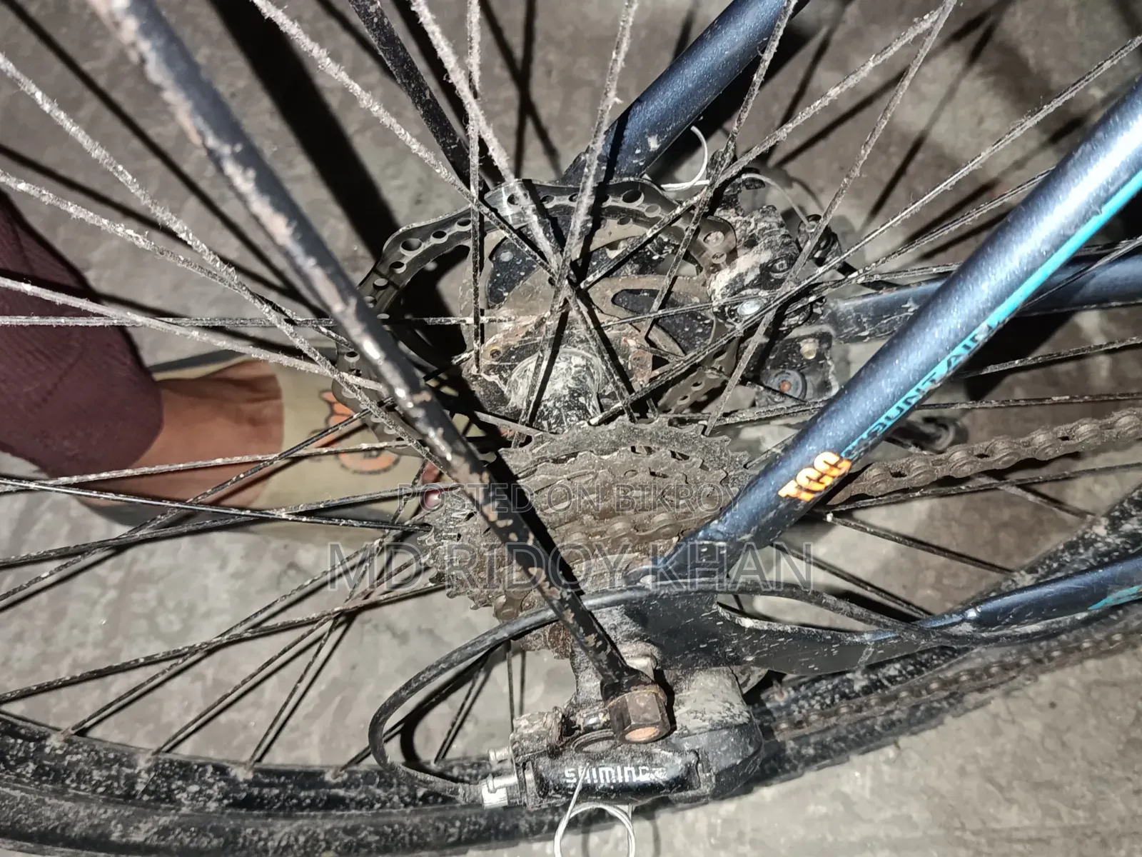 Skysbike Bicycle