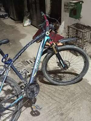 Skysbike Bicycle