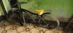 বিএমএক্স বাইসাইকেল