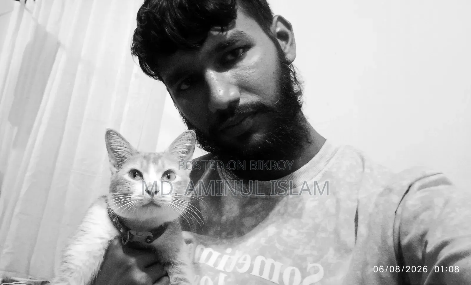 ১+ বছরের মহিলা পিউরব্রেড বেঙ্গল