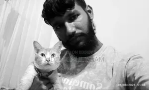 ১+ বছরের মহিলা পিউরব্রেড বেঙ্গল