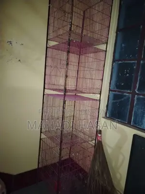 Bird Cages