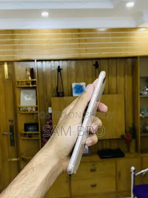 অ্যাপল আইফোন ৮ প্লাস ২৫৬ জিবি রোজ গোল্ড