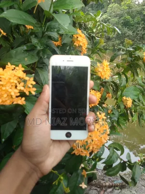 অ্যাপল আইফোন ৬এস ৩২ জিবি গোলাপি