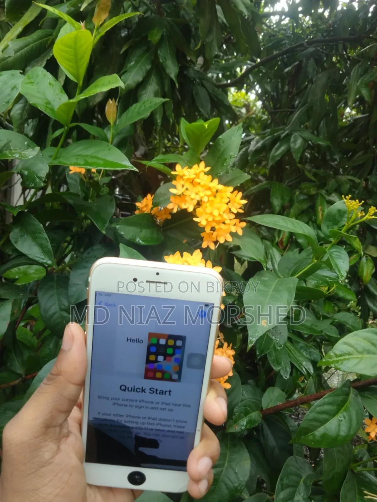 অ্যাপল আইফোন ৬এস ৩২ জিবি গোলাপি