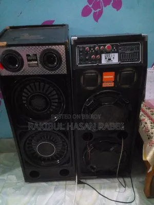 In Professional Sound System