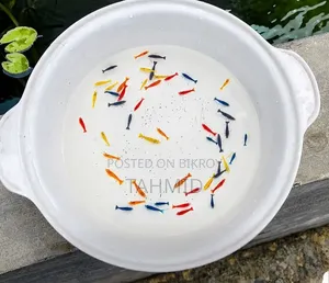 Aquriam Shrimp Full Kit