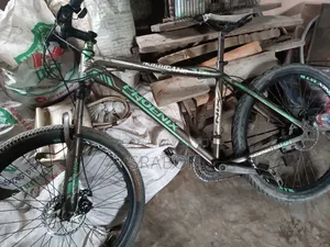 Phoenix Cycle Size 26