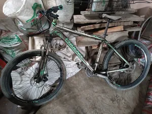 Phoenix Cycle Size 26