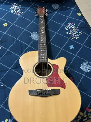 Deviser L-720a-N Acoustic Guitar