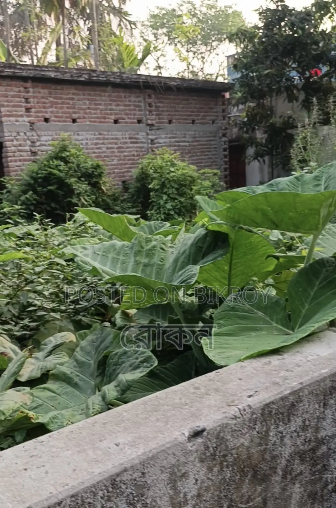 জমি বিক্রয় হবে