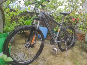 Phoenix Cycle
