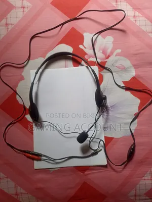 Earphone With Microphone