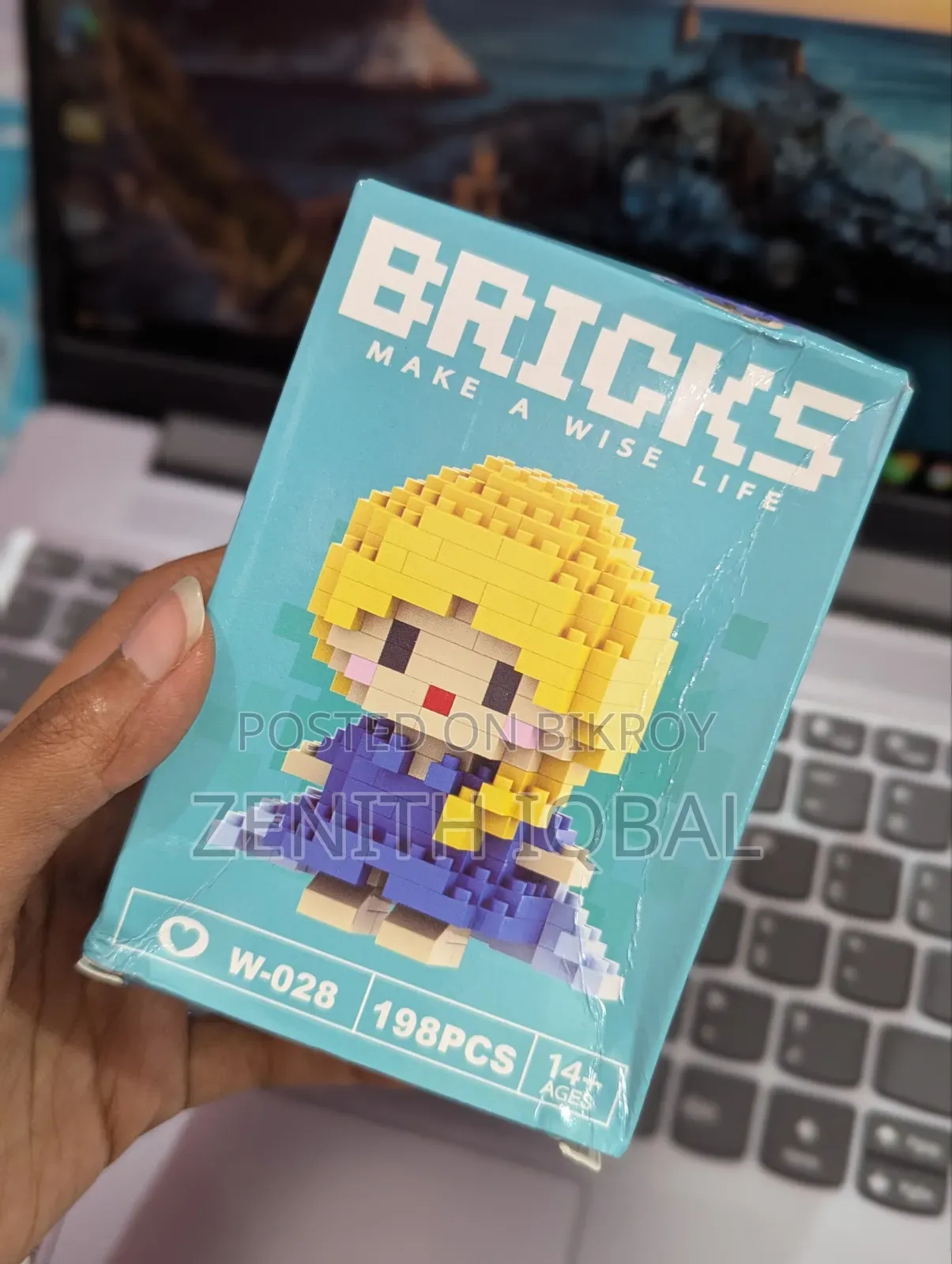 Bricks (Make a Wise Life)