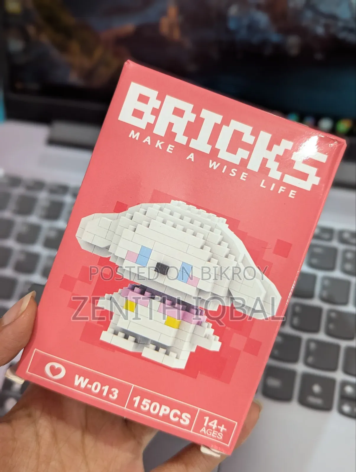 Bricks (Make a Wise Life)