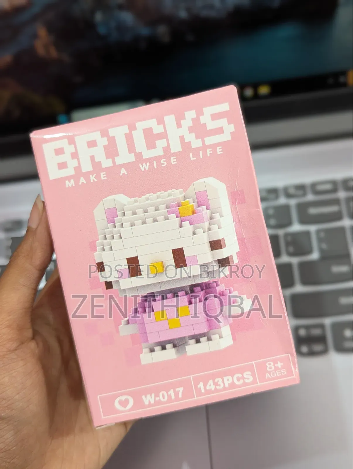 Bricks (Make a Wise Life)