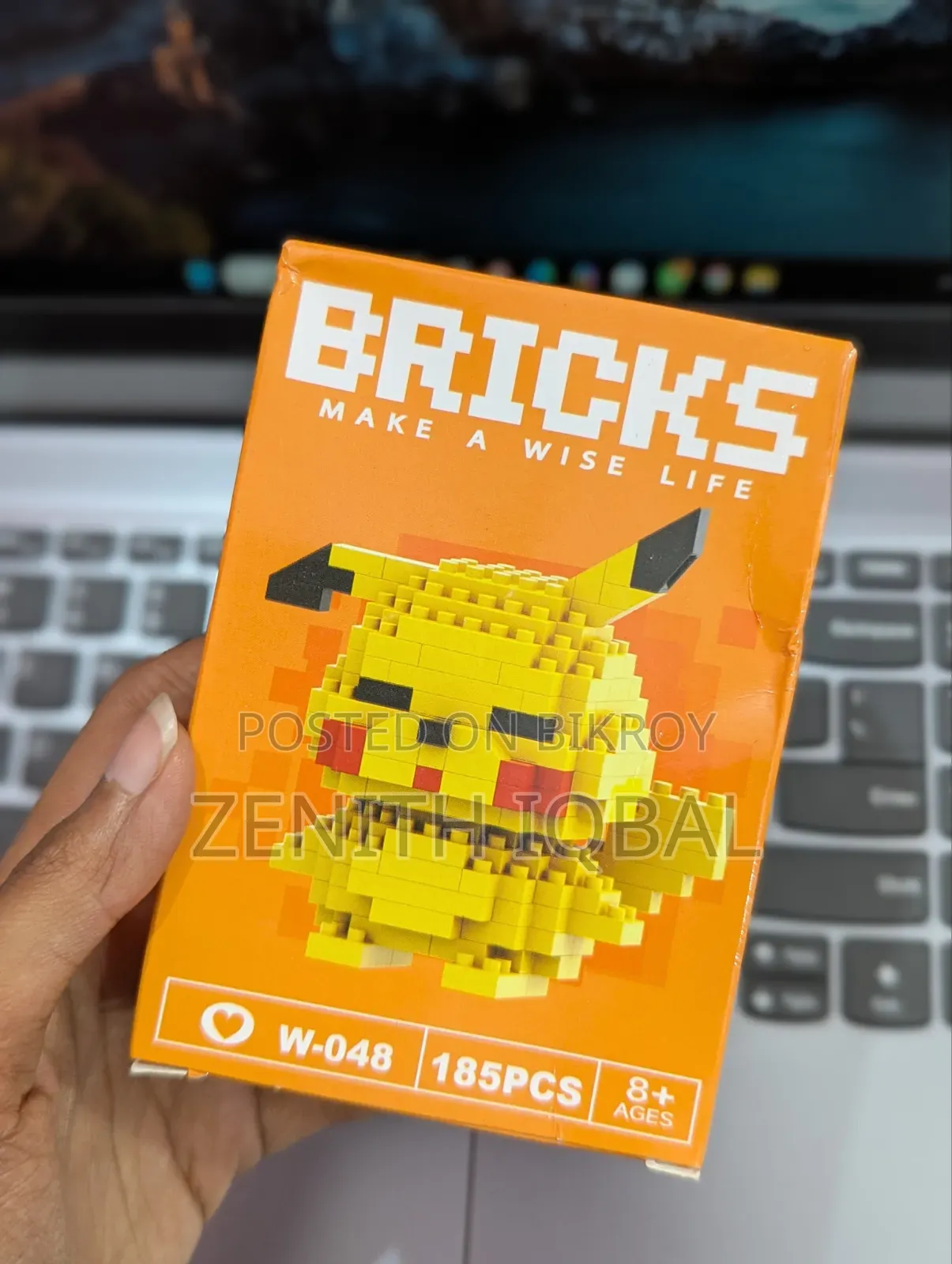 Bricks (Make a Wise Life)