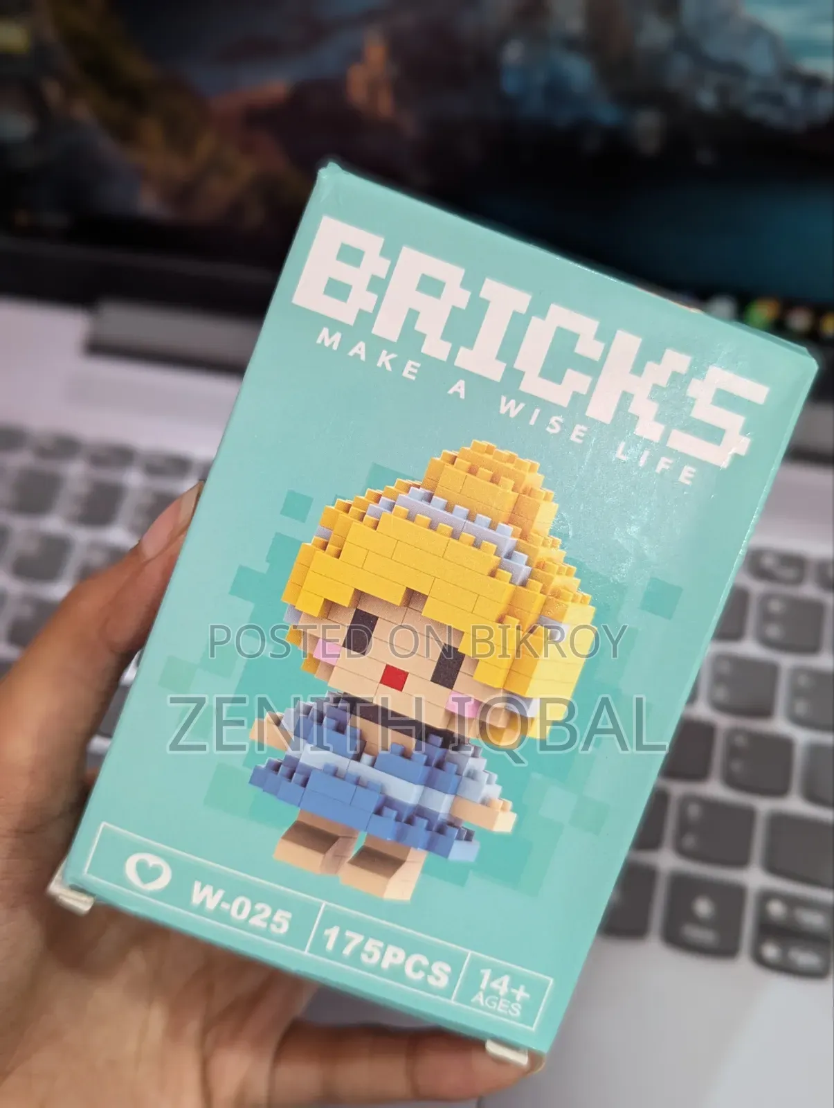 Bricks (Make a Wise Life)